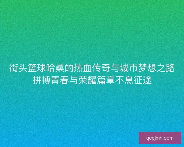 街头篮球哈桑的热血传奇与城市梦想之路拼搏青春与荣耀篇章不息征途