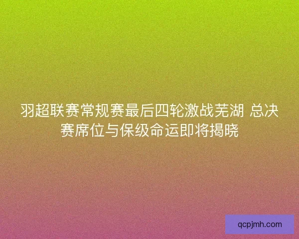 羽超联赛常规赛最后四轮激战芜湖 总决赛席位与保级命运即将揭晓